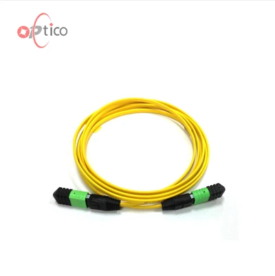 12F Singemode MTP 트렁크 케이블